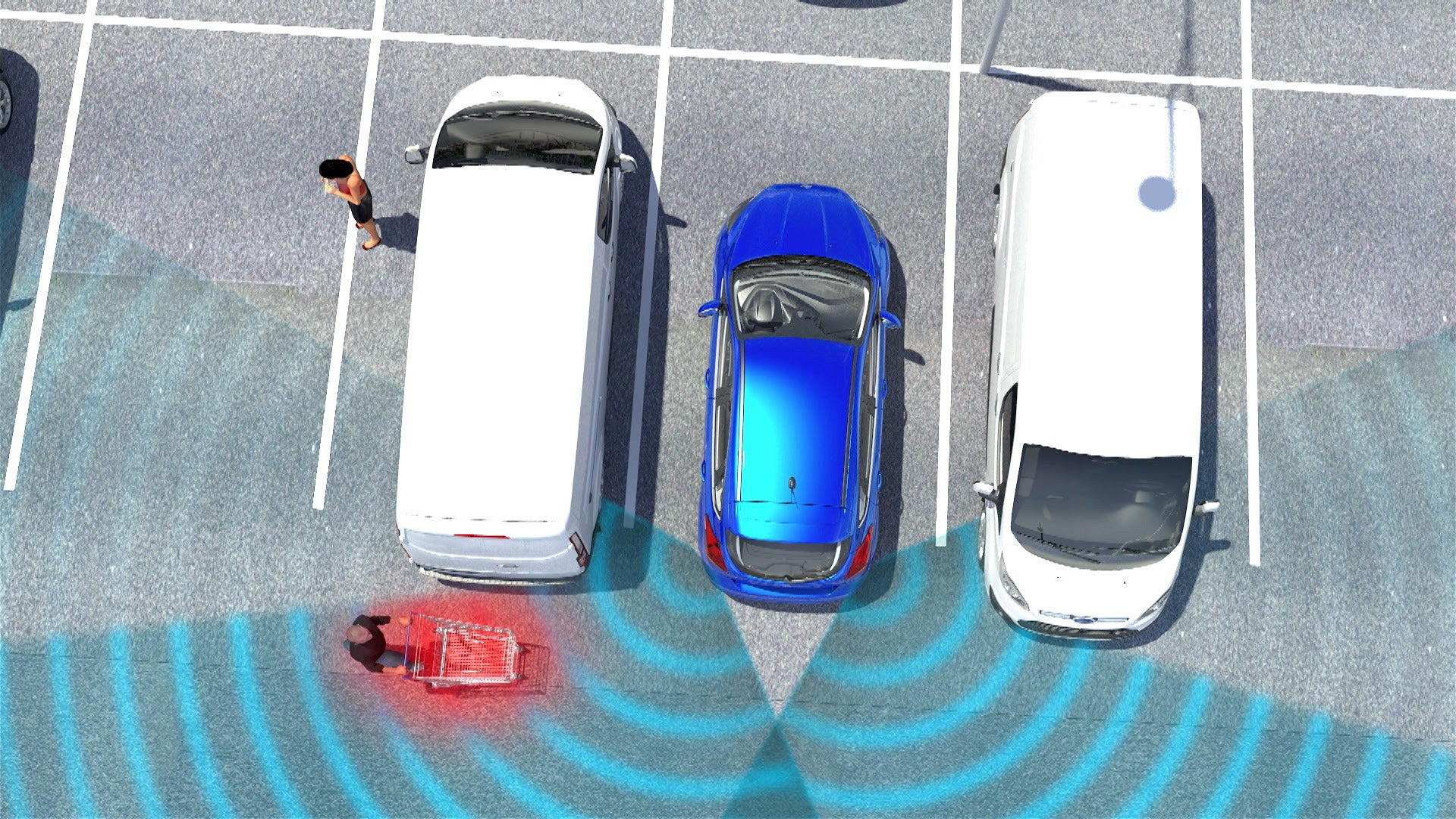 Car with rear parking sensors diagram