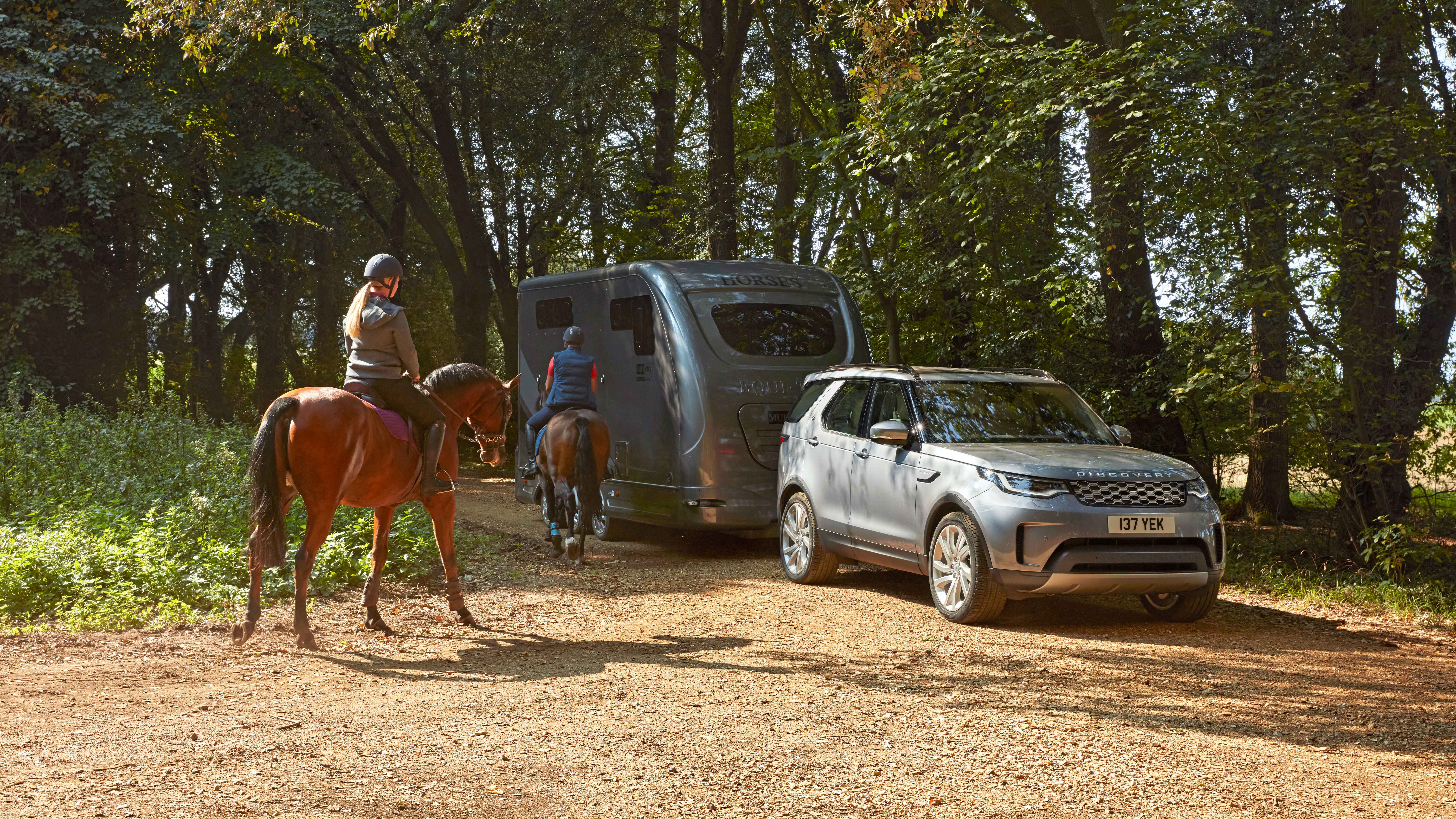 Land Rover Discovery towing a horsebox with two horses nearby