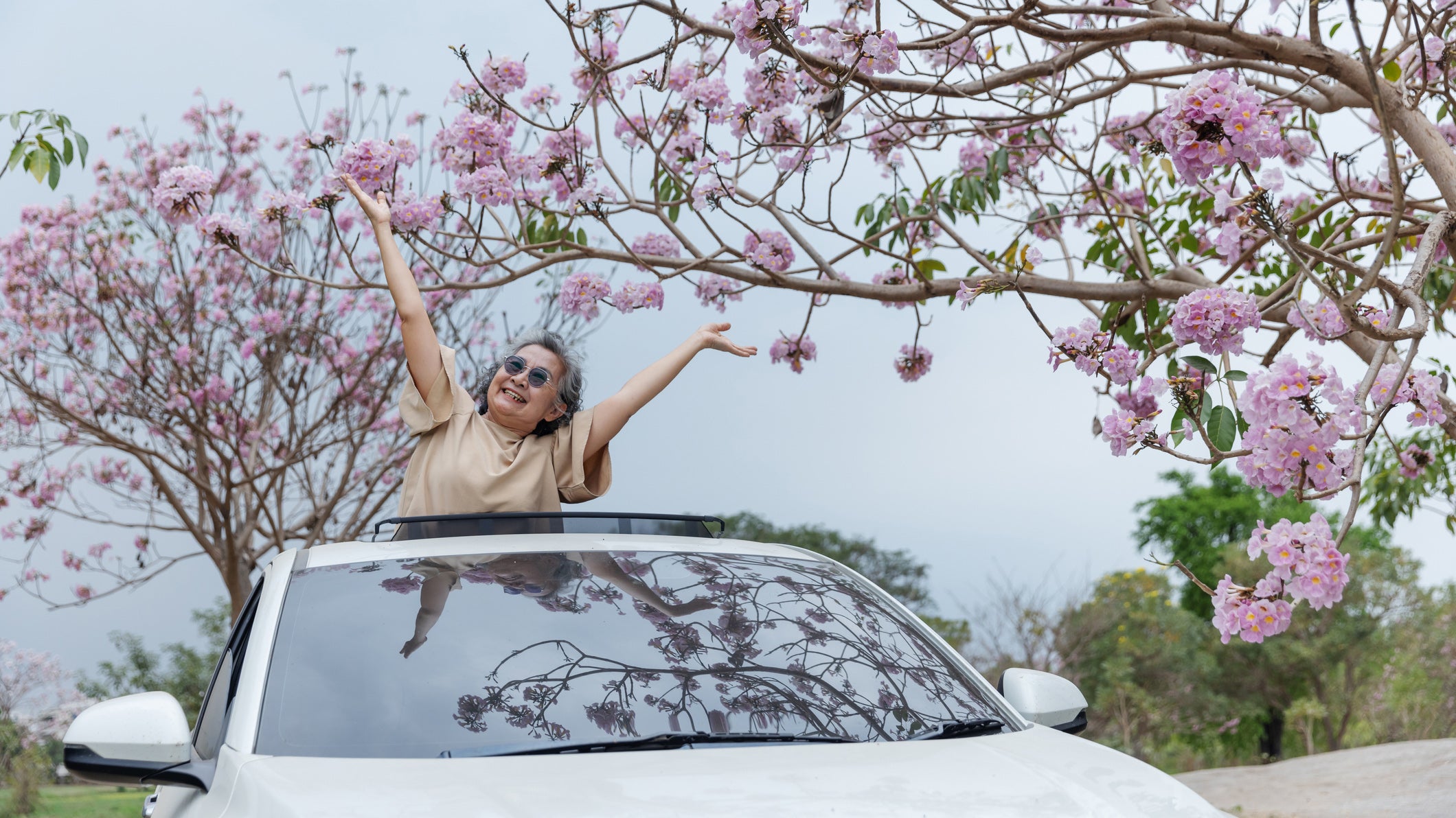 Woman standing in car sunroof under cherry blossom
